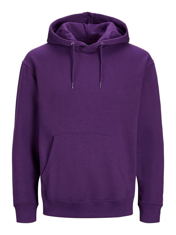 schlichter hoodie